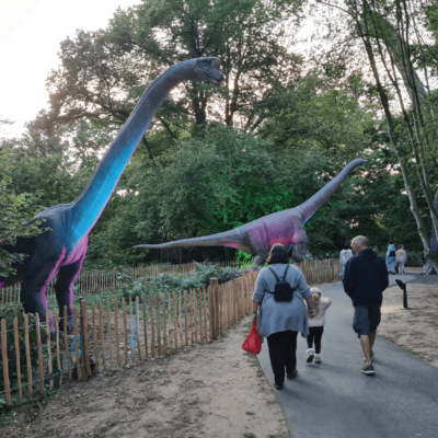 Dinosaur-themed days out at ROARR!