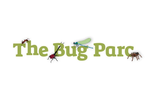 The Bug Parc